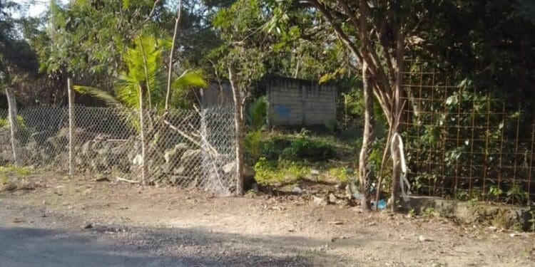 Solidaridad, segundo municipio con más invasiones en Quintana Roo