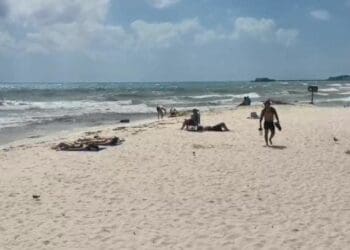 Surada le pegó fuerte a los náuticos de Playa del Carmen; no ha habido ganancias