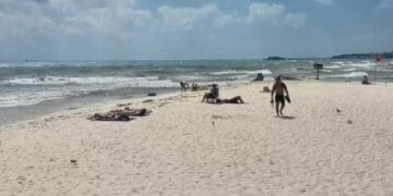 Surada le pegó fuerte a los náuticos de Playa del Carmen; no ha habido ganancias