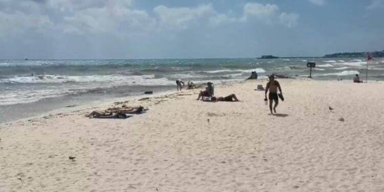 Surada le pegó fuerte a los náuticos de Playa del Carmen; no ha habido ganancias