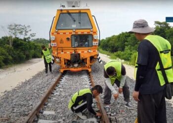 Un error, detener las obras del Tren Maya tras lo invertido: Pablo Alcocer