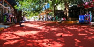 Avanza la renovación de la 5ta Avenida