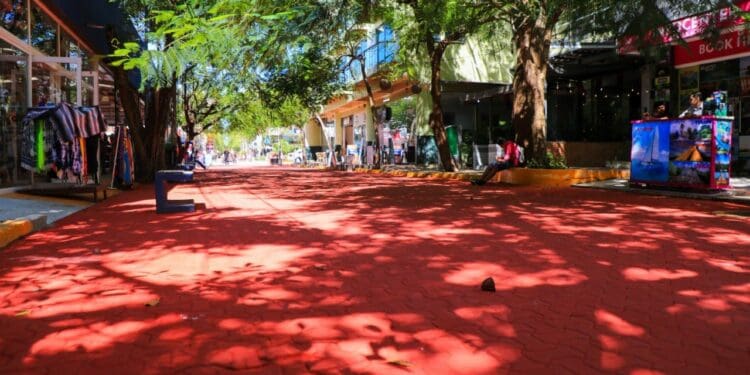 Avanza la renovación de la 5ta Avenida