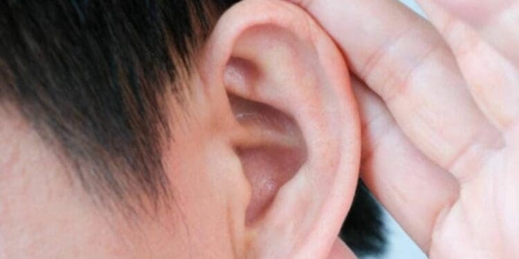 Con redondeo, buscan impulsar un centro educativo inclusivo en Playa del Carmen