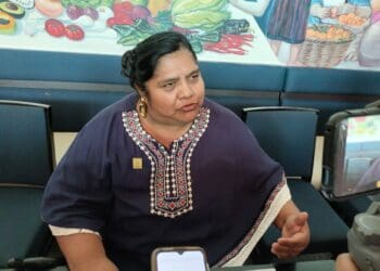 Defiende diputada local iniciativa para poderse reelegir por hasta 12 años