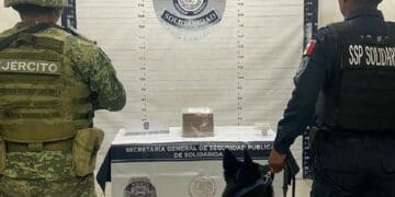 Detectan cajas con droga en paquetería de Playa del Carmen