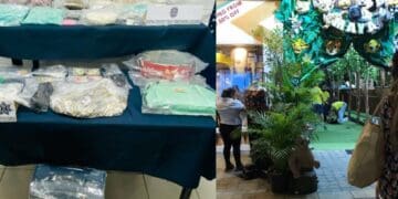 Duro golpe al narcomenudeo: encuentran 2 mil dosis de drogas en Animalandia de Playa del Carmen