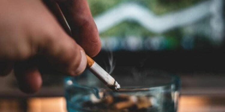 Empresarios siguen tramitando amparos contra la ley antitabaco en Playa del Carmen