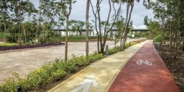 Guardias del Parque Metropolitano intimidan a la gente, deberían retirarse: Adrián Pérez Vera