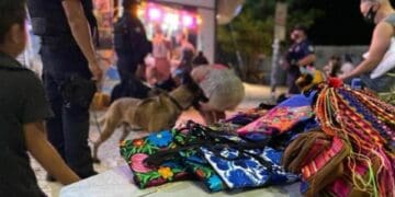 "Marías" se resisten a retirarse de la zona turística de Playa del Carmen