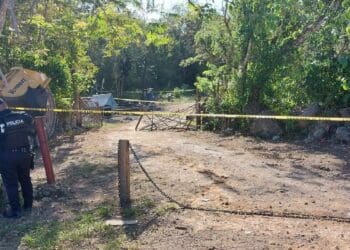 Muere velador al incendiarse palapa en Punta Venado