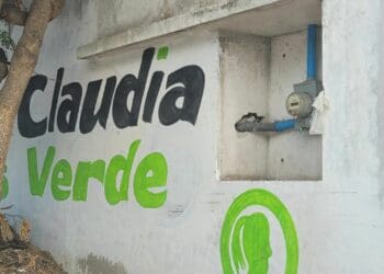 PAN de Solidaridad alista denuncias por actos anticipados de campaña