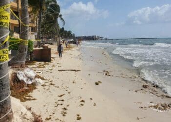 Provoca ‘mar de fondo’ erosión en playas en Solidaridad