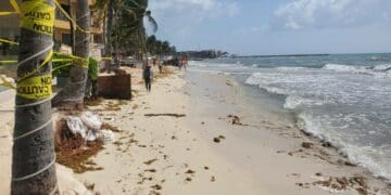 Provoca ‘mar de fondo’ erosión en playas en Solidaridad