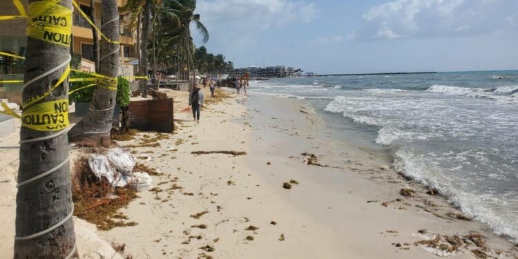 Provoca ‘mar de fondo’ erosión en playas en Solidaridad