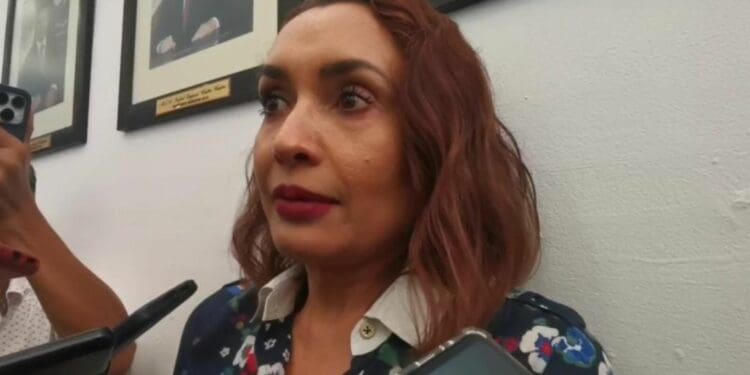 Se crea la Secretaría del Medio Ambiente de Solidaridad; Lourdes Várguez estará al frente