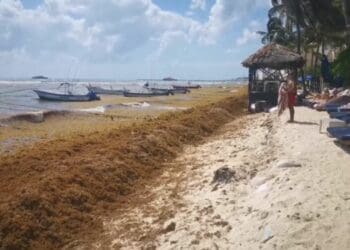 Suradas y sargazo siguen afectando a prestadores de servicios en Playa del Carmen