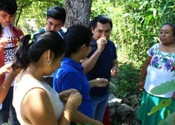Universitarios y egresados defenderán las carreras que busca cerrar el rector de la Uqroo