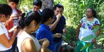 Universitarios y egresados defenderán las carreras que busca cerrar el rector de la Uqroo