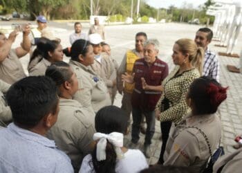 En equipo, combaten dengue, zika y chikungunya