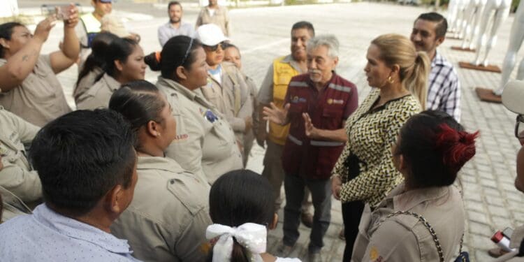 En equipo, combaten dengue, zika y chikungunya