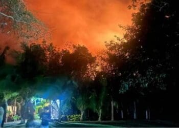 Bomberos de Playa del Carmen combaten un incendio forestal y varios en la ciudad