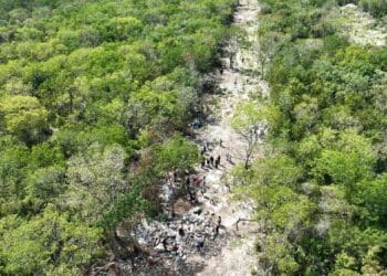 Confirman que incendio en InHouse fue intencional; pretendían invadirlo