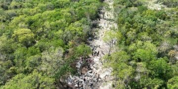 Confirman que incendio en InHouse fue intencional; pretendían invadirlo