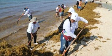 Jornada de limpieza en Punta Esmeralda