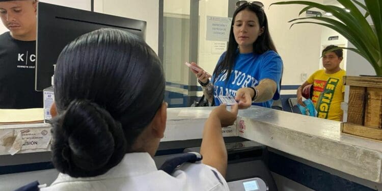 Más de 950 mujeres beneficiadas con descuento en licencia