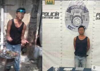 Playa del Carmen: Detienen a sujeto que cocinaba al gato de su vecino