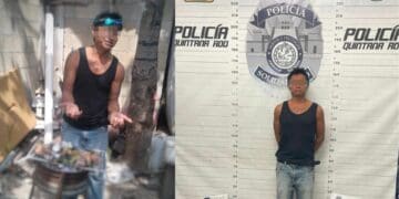 Playa del Carmen: Detienen a sujeto que cocinaba al gato de su vecino