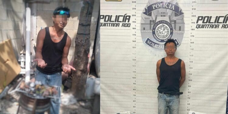 Playa del Carmen: Detienen a sujeto que cocinaba al gato de su vecino