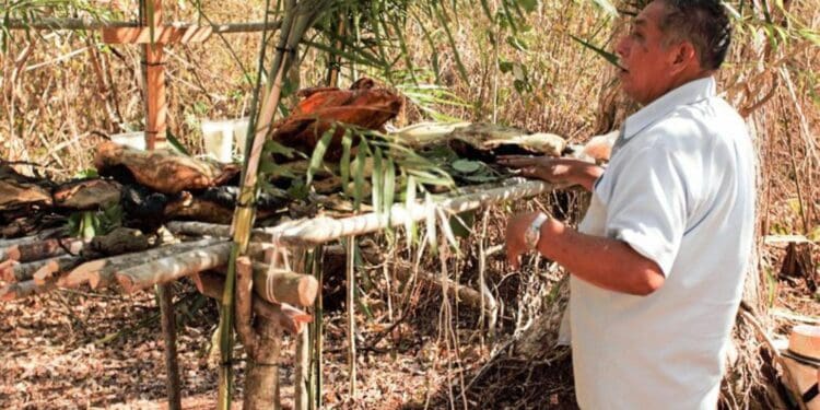 Realizarán ceremonia maya del Jets’ Lu’um el próximo 22 de abril