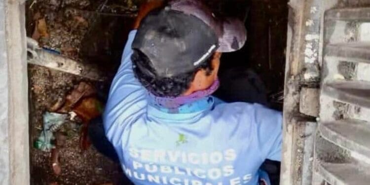 Se planea construir 100 pozos de absorción más para evitar inundaciones en Playa del Carmen