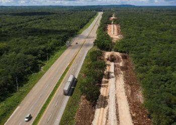 Tendrá tramo Playa del Carmen-Tulum del Tren Maya mayor número de 'pasos de fauna'