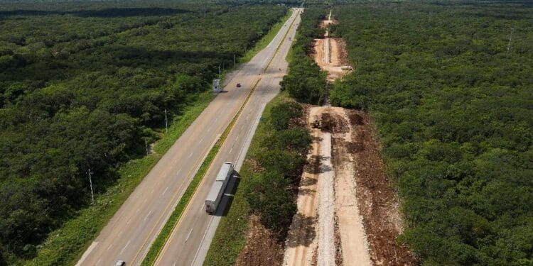 Tendrá tramo Playa del Carmen-Tulum del Tren Maya mayor número de 'pasos de fauna'