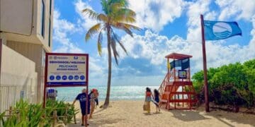 Vendedores de tours llegaron al 100% en esta temporada en Playa del Carmen