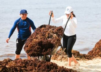 Refuerzan operativos de limpieza en playas