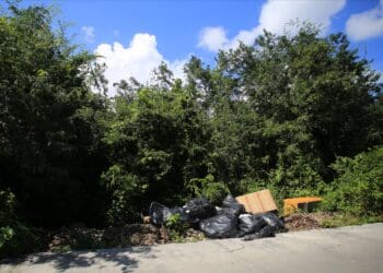 Convoca gobierno a mantener limpios predios y lotes baldíos