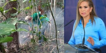 Desarrolladora deberá comparecer tras daños por el incendio en fraccionamiento Bonanza: Lili Campos