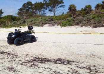Hallan un cuerpo sin vida con huellas de violencia en Playa del Carmen