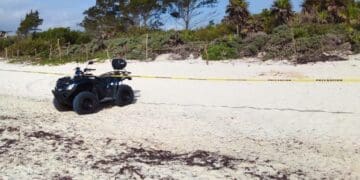 Hallan un cuerpo sin vida con huellas de violencia en Playa del Carmen