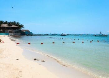 Implementa Zofemat de Solidaridad programa piloto con código QR para concesionarios