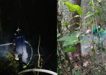 Incendio está controlado: Lili Campos