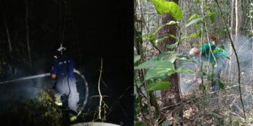 Incendio está controlado: Lili Campos