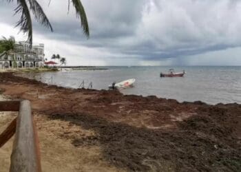 Pequeños hoteles y náuticos de Playa del Carmen, afectados por la llegada de sargazo