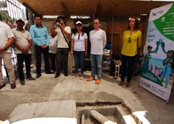 Preparan proyecto para aprovechar de tres formas el sargazo en la Riviera Maya