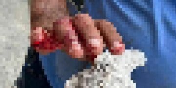 Turista arranca parte del dedo a empleado municipal afuera de un Oxxo en Playa del Carmen