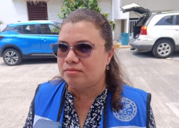 Van 2 mil 500 huevos de tortuga resguardados en Solidaridad este año